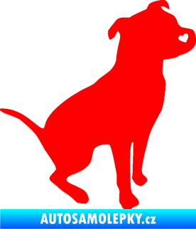 Samolepka Pitbull 005 pravá Fluorescentní červená