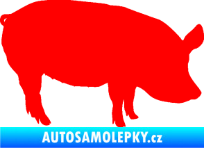 Samolepka Prase 001 pravá Fluorescentní červená