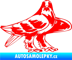 Samolepka Predators 047 pravá Fluorescentní červená