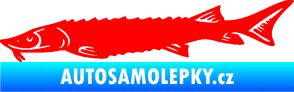 Samolepka Ryba 020 levá jeseter Fluorescentní červená