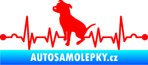 Samolepka Srdeční tep 007 levá pitbull Fluorescentní červená