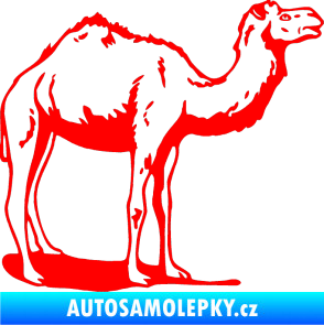 Samolepka Velbloud 001 pravá Fluorescentní červená
