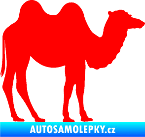 Samolepka Velbloud 003 pravá Fluorescentní červená