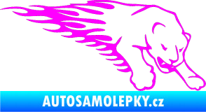 Samolepka Animal flames 020 pravá puma Fluorescentní růžová