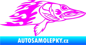 Samolepka Animal flames 074 pravá ryba Fluorescentní růžová