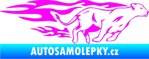Samolepka Animal flames 084 pravá lvice Fluorescentní růžová