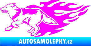 Samolepka Animal flames 090 levá vlk Fluorescentní růžová