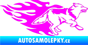 Samolepka Animal flames 090 pravá  vlk Fluorescentní růžová