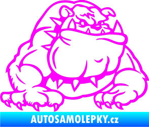 Samolepka Buldog 001 pravá pes Fluorescentní růžová