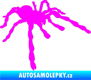 Samolepka Pavouk 013 - pravá Fluorescentní růžová