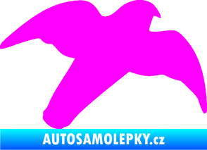 Samolepka Dravec na sklo 003 pravá Fluorescentní růžová