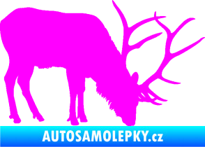 Samolepka Jelen 008 pravá Fluorescentní růžová