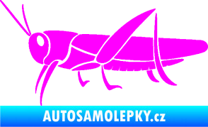 Samolepka Kobylka 002 levá Fluorescentní růžová