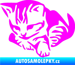 Samolepka Koťátko 003 levá Fluorescentní růžová