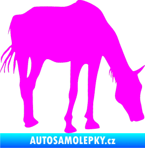 Samolepka Kůň 008 pravá Fluorescentní růžová