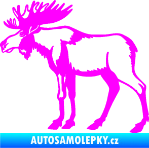 Samolepka Los 005 levá Fluorescentní růžová