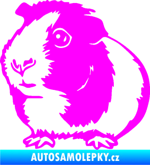 Samolepka Morče 003 levá Fluorescentní růžová