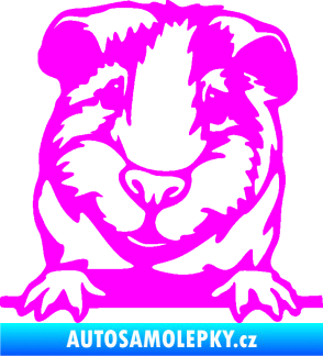 Samolepka Morče 004 levá Fluorescentní růžová
