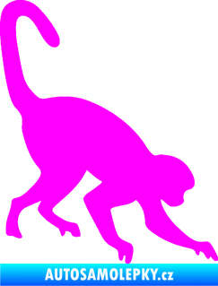 Samolepka Opice 002 pravá Fluorescentní růžová