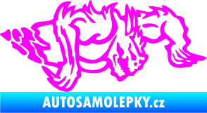 Samolepka Ostnatej pravá Fluorescentní růžová