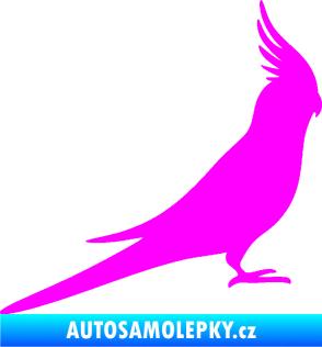 Samolepka Papoušek 002 pravá Fluorescentní růžová