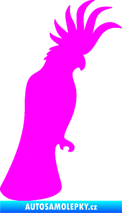 Samolepka Papoušek 003 pravá Fluorescentní růžová