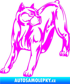 Samolepka Pes 007 levá Pitbull Fluorescentní růžová