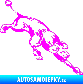 Samolepka Pes 022 pravá Pudl Fluorescentní růžová