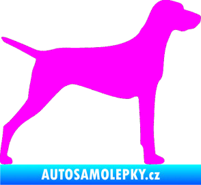 Samolepka Pes 052 pravá Ohař Fluorescentní růžová