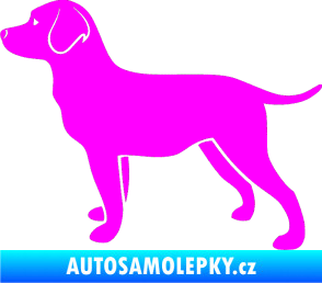 Samolepka Pes 062 levá Labrador Fluorescentní růžová