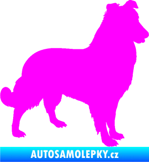 Samolepka Pes 084 pravá Kolie Fluorescentní růžová