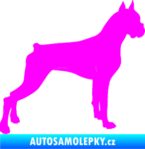 Samolepka Pes 087 pravá Boxer Fluorescentní růžová