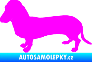 Samolepka Pes 094 levá Baset Fluorescentní růžová