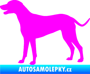 Samolepka Pes 095 levá Dalmatin Fluorescentní růžová