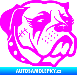 Samolepka Pes 097 pravá Buldok Fluorescentní růžová