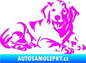 Samolepka Pes 106 pravá Retrívr Fluorescentní růžová