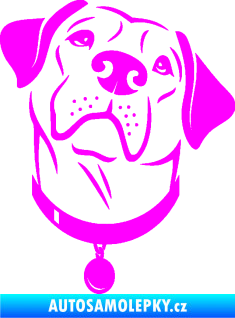 Samolepka Pes 119 pravá Labrador Fluorescentní růžová