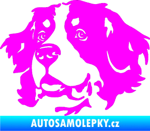Samolepka Pes 131 levá bernský salašnický pes Fluorescentní růžová