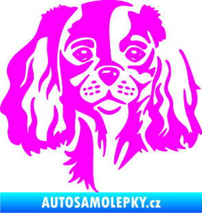 Samolepka Pes 132 levá Cavalier king Charles spaniel Fluorescentní růžová