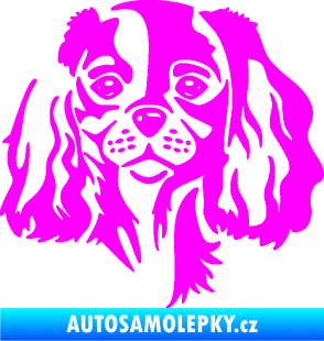 Samolepka Pes 132 pravá Cavalier king Charles spaniel Fluorescentní růžová