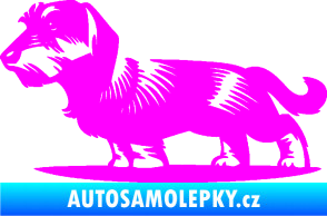 Samolepka Pes 133 levá drsnosrstý jezevčík Fluorescentní růžová
