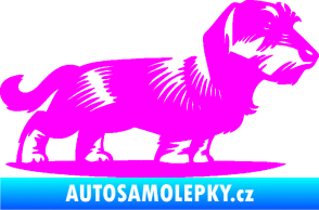 Samolepka Pes 133 pravá drsnosrstý jezevčík Fluorescentní růžová
