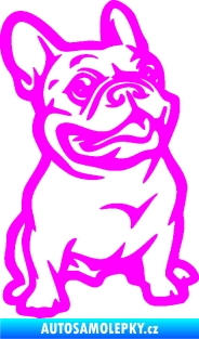 Samolepka Pes 139 pravá francouzský buldoček Fluorescentní růžová