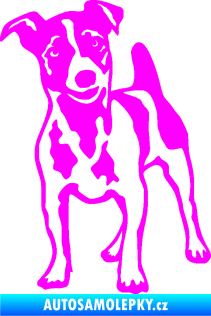 Samolepka Pes 144 levá Jack Russel terier Fluorescentní růžová