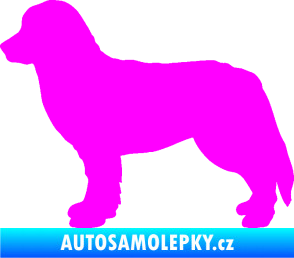 Samolepka Pes 157 levá bernský salašnický Fluorescentní růžová