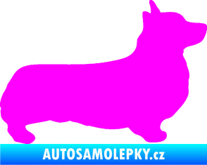 Samolepka Pes 164 pravá Welsh Corgi Pembroke Fluorescentní růžová