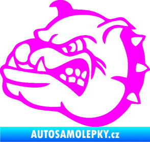 Samolepka Pes 169 levá rozzuřený buldok Fluorescentní růžová