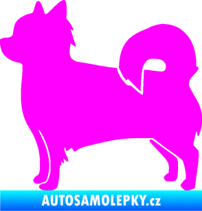 Samolepka Pes 173 levá čivava Fluorescentní růžová