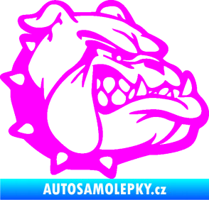Samolepka Pes 174 pravá rozzuřený buldok Fluorescentní růžová