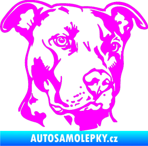 Samolepka Pes 198 pitbull pravá Fluorescentní růžová